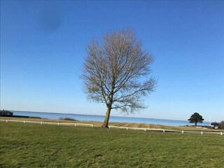 Vakantiehuis Brenderup Buitenaudio-opname 16