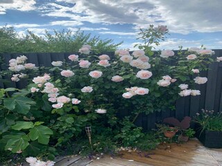 Ferienhaus Otterup Außenaufnahme 6