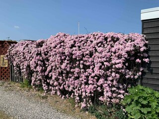 Ferienhaus Otterup  10