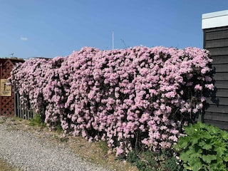 Ferienhaus Otterup  14