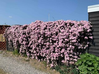 Vakantiehuis Otterup  14