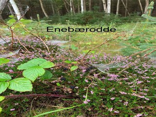 Holiday house Otterup  15