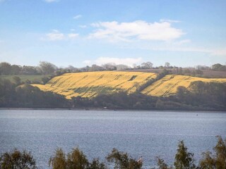 Vakantiehuis Aabenraa Buitenaudio-opname 8