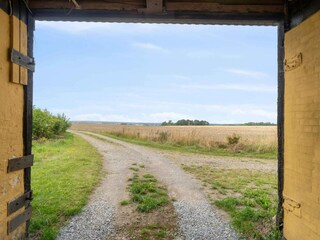 Ferienhaus Hasle Außenaufnahme 5