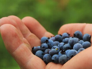 Casa de vacaciones Vänersborg  14