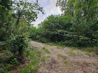 Ferienhaus Rønde Außenaufnahme 7