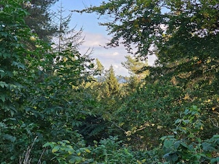 Holiday house Rønde Outdoor Recording 8