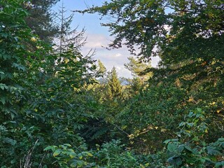 Vakantiehuis Rønde Buitenaudio-opname 8