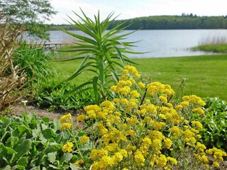 Bungalow Blankenberg Buitenaudio-opname 7