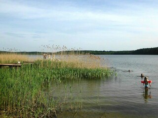 Bungaló Blankenberg  12