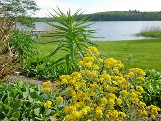 Bungalow Blankenberg Enregistrement extérieur 7