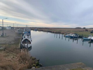 Holiday house Dannemare Outdoor Recording 10