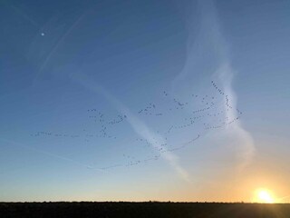 Vakantiehuis Dannemare Buitenaudio-opname 13