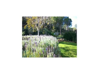 Casale Santa Eulalia del Río  38