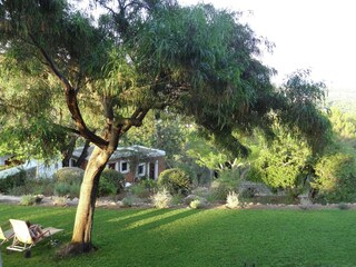 Landhaus Santa Eulalia del Río Außenaufnahme 11