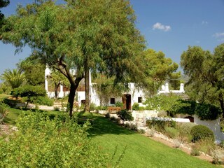 Casa de campo Santa Eulalia del Río Grabación al aire libre 12