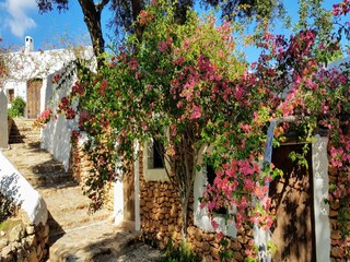 Type de propriété : Chalet Santa Eulalia del Río Environnement 30
