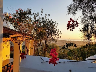 Cottage Santa Eulalia del Río Environment 31