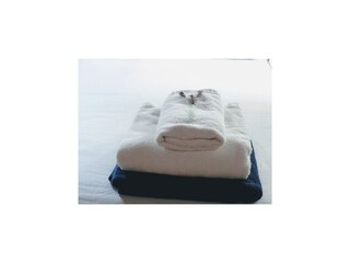 Casale Santa Eulalia del Río  43