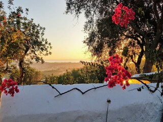 Casale Santa Eulalia del Río  47