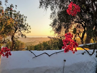 Cottage Santa Eulalia del Río  47