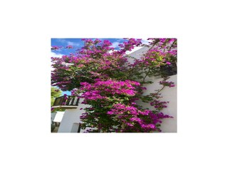 Casale Santa Eulalia del Río  59