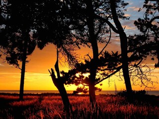 Vakantiehuis Veddinge Buitenaudio-opname 8