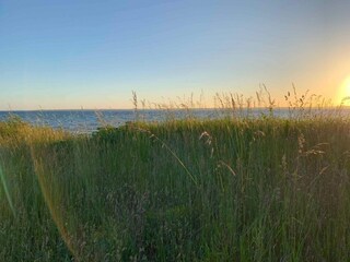 Ferienhaus Lohals Außenaufnahme 6