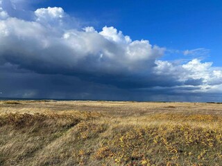 Ferienhaus Lohals Außenaufnahme 7
