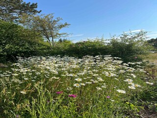 Holiday house Lohals  22