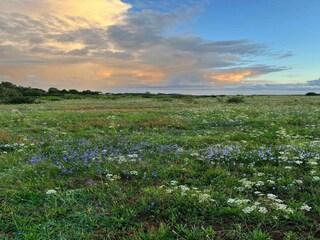 Holiday house Lohals  11