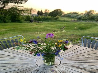 Holiday house Lohals Outdoor Recording 5