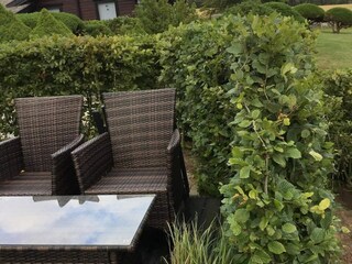 Ferienhaus Fåborg Außenaufnahme 2