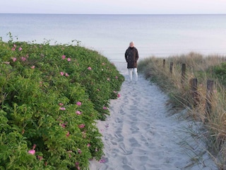 Ferienhaus Humble  15