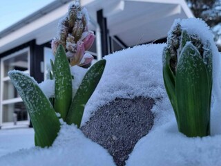 Holiday house Lumsås Outdoor Recording 8