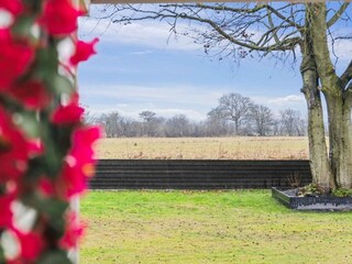 Ferienhaus Egense Außenaufnahme 10