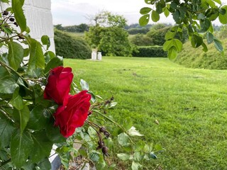 Holiday house Ertebølle Outdoor Recording 14