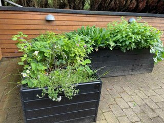 Holiday house Ertebølle Outdoor Recording 22