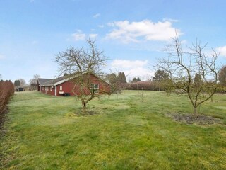 Ferienhaus Købingsmark Außenaufnahme 3