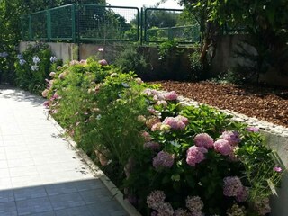 Apartamento Arbanija Grabación al aire libre 1