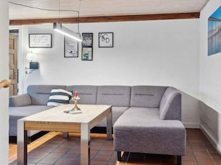 Ferienhaus Tåsinge  7