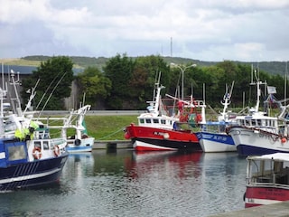 Holiday park Saint-Pierre-des-Jonquieres Environment 24