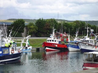 Parc de vacances Saint-Pierre-des-Jonquieres Environnement 23