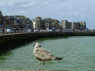 Holiday park Saint-Pierre-des-Jonquieres Environment 29