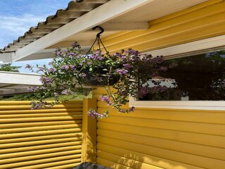 Holiday house Aakirkeby Outdoor Recording 2