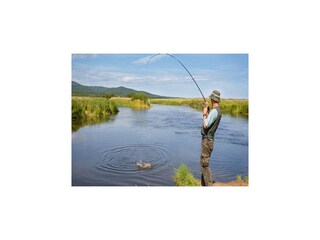 Vakantiepark Welt Omgeving 29