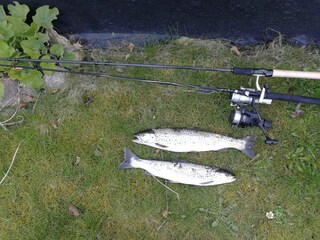 Ferienhaus Allinge  17