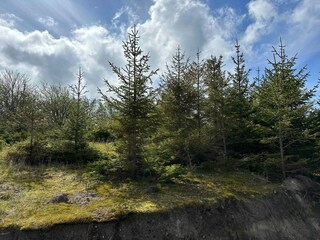 Ferienhaus Sejerø  21