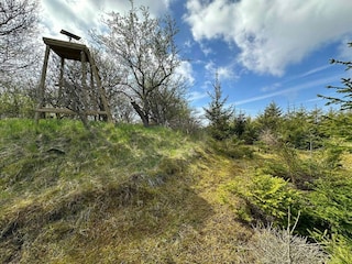 Vakantiehuis Sejerø  16