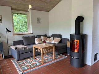 Ferienhaus Knebel  6